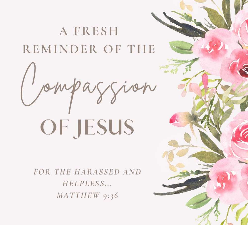 Jesus was moved with compassion