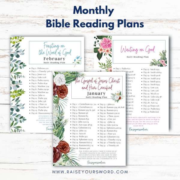 monthly-bible-reading-plans