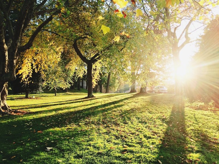 21 Simple Ways To Slow Down In A Busy World 21-simple-ways-to-slow-down-in-a-busy-world